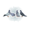 Doves