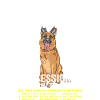 German Shepherd Professional Human Trainer