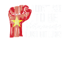 Fierté vietnamienne Drapeau vietnamien