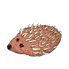 Mettigel Hackfleisch Mett Hack