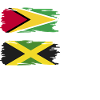 Guyana Flag Guyanese Guyana