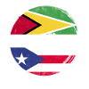 Guyana Flag Guyanese Guyana