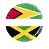 Guyana Flag Guyanese Guyana
