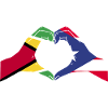 Guyana Flag Guyanese Guyana