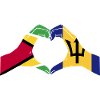 Guyana Flag Guyanese Guyana
