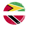 Guyana Flag Guyanese Guyana