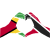 Guyana Flag Guyanese Guyana