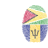 Guyana Flag Guyanais Guyanais