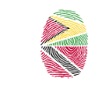 Guyana Drapeau Guyanais Guyana