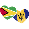 Guyana Flag Guyanese Guyana