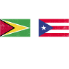 Guyana Flag Guyanais Guyanais