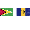 Guyana Flag Guyanais Guyanais