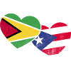 Guyana Flag Guyanese Guyana