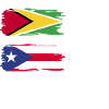 Guyana Flag Guyanese Guyana