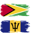 Guyana Flag Guyanais Guyanais