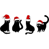 black cat in christmas