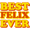 Felix First Name Funny Gift