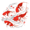 En skole af japansk koi fisk