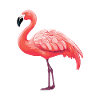 Flamingo Cartoon Kawaii Aquarelle Illustration