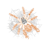 Sentiment Tarantula-tastique Tarantula Propriétaire Pet