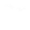 Alien Contact UFO Aliens