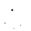 Fallschirmspringer, Sky diving