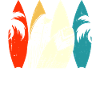 Surfeur