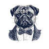Mops Im Anzug