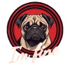 Pug - I'm Fine