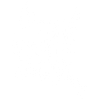 Chat tribal blanc