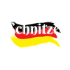 Schnitzel Germany Food