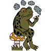 Smoking frog sits on mushroom