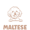 Maltese Owner Gifts