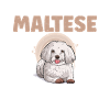 Maltese Owner Gifts