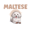 Cadeaux de propriétaire maltais
