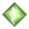 Halfpipe Skateboarder