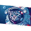 Chat astronaute dans l’espace