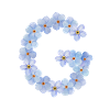 Letter G