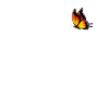 Weasel with butterfly