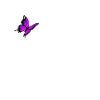Aesthetic fox with butterfly