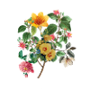 We Grow