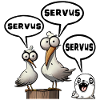 Servus