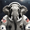 Elephant in astronaut suit