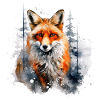 Red fox, snow