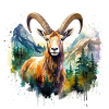 ibex, ibex