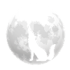 Full Moon Wolf