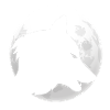 Full moon wolf's head