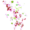 Wiese,blumen,blume, bunte blumen