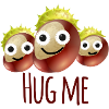 Chestnuts, Chestnut,Horse Chestnut,hug me