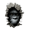 Gorilla in the hole